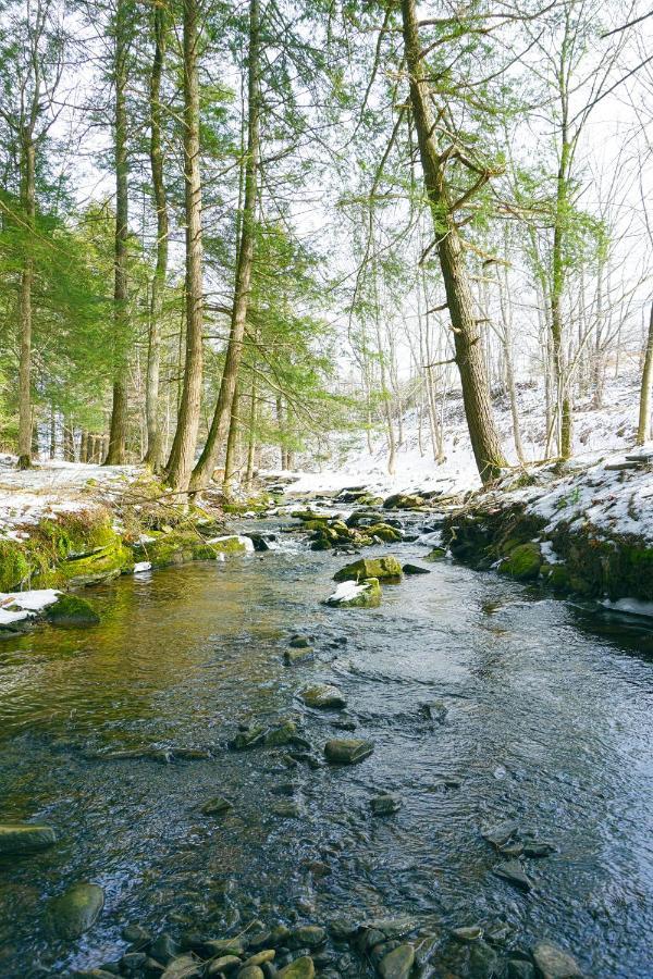 Secluded Streamside Home With Hot Tub Margaretville Luaran gambar